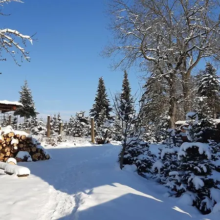 Reissmann * Heinsdorfergrund