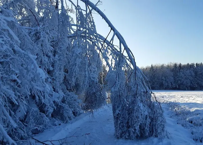 Reissmann Apartament