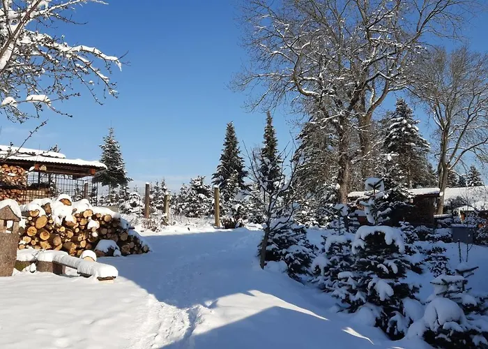 Reissmann * Heinsdorfergrund