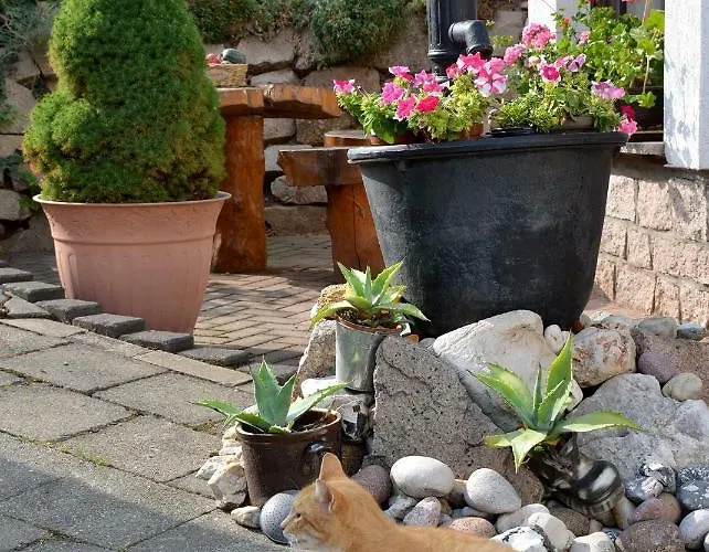 Apartament Reissmann